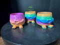Three Rainbow Buddy Planters in different colorways showing Coffee and Heart styles